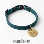 Ошейник для кошек с медальоном