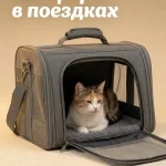 Переноска для кошек
